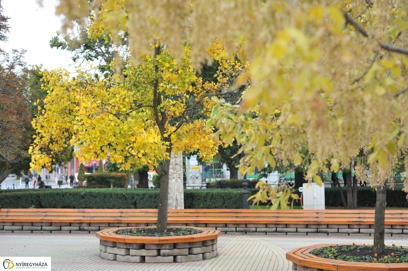 Itt van az ősz, itt van újra - fotó Szarka Lajos