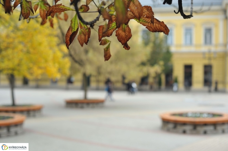 Itt van az ősz, itt van újra - fotó Szarka Lajos