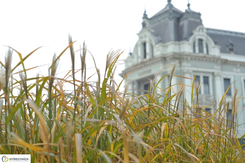 Itt van az ősz, itt van újra - fotó Szarka Lajos