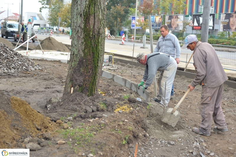 Elkezdődött a beruházás a Szegfű utcán XII - fotó Szarka Lajos