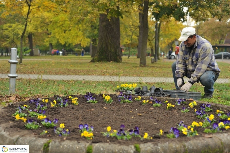 Park gondozás Sóstón - fotó Szarka Lajos