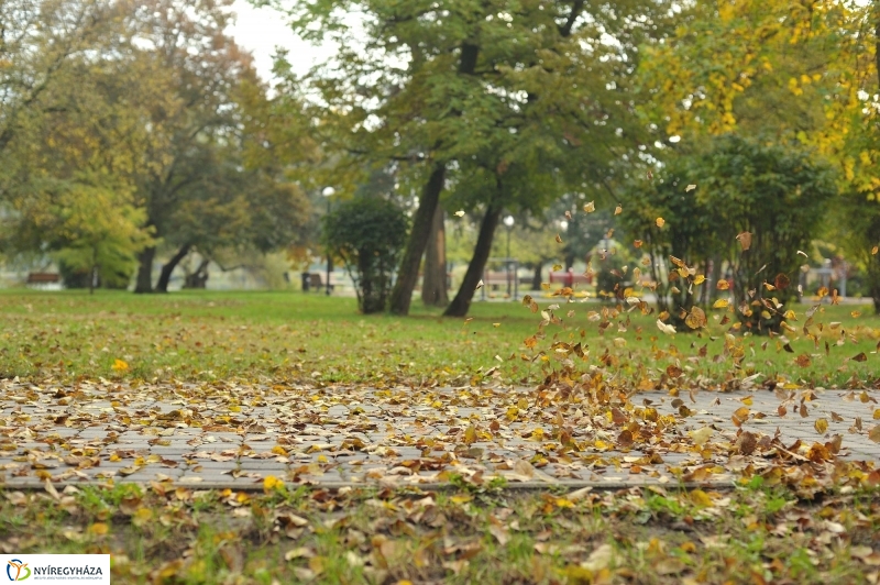 Park gondozás Sóstón - fotó Szarka Lajos