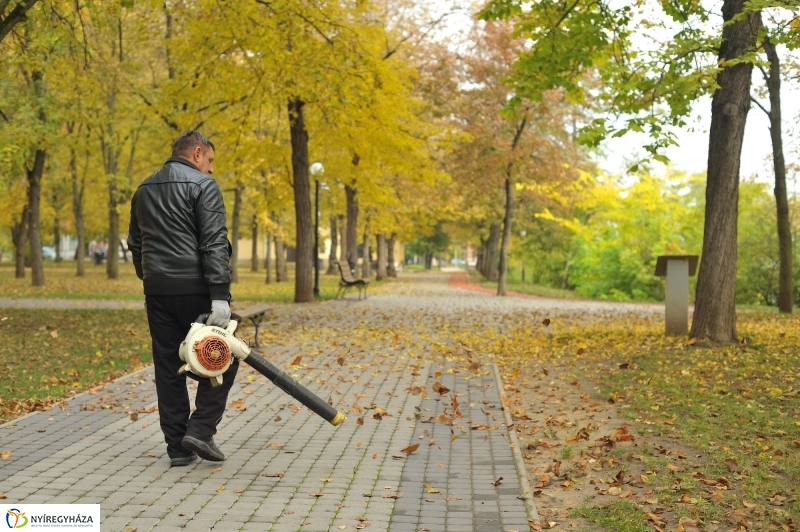 Park gondozás Sóstón - fotó Szarka Lajos