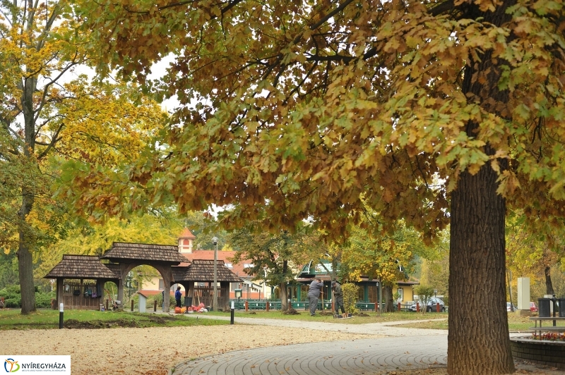 Park gondozás Sóstón - fotó Szarka Lajos