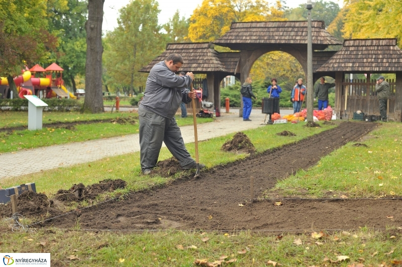 Park gondozás Sóstón - fotó Szarka Lajos