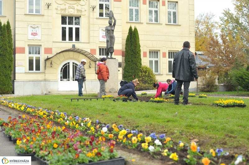 Park gondozás Sóstón - fotó Szarka Lajos
