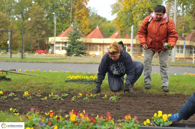 Park gondozás Sóstón - fotó Szarka Lajos