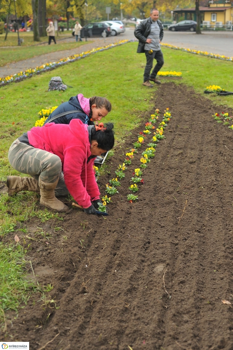 Park gondozás Sóstón - fotó Szarka Lajos