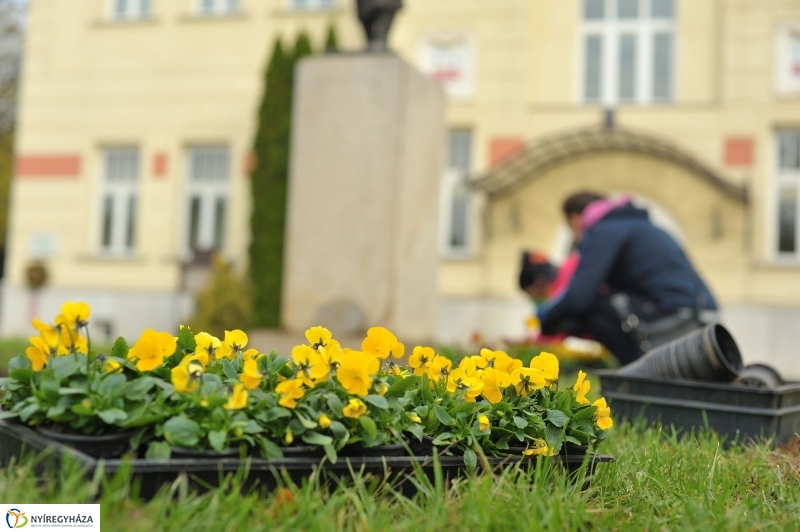 Park gondozás Sóstón - fotó Szarka Lajos