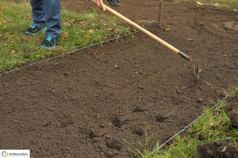 Park gondozás Sóstón - fotó Szarka Lajos