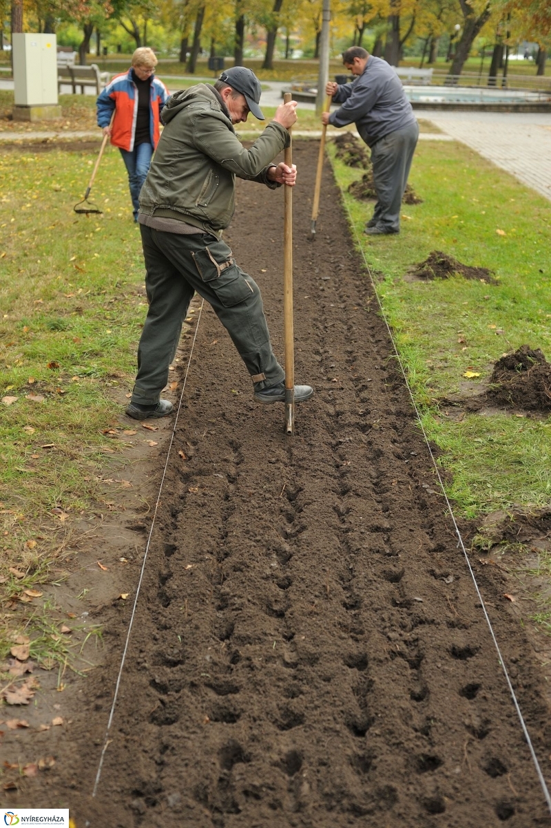 Park gondozás Sóstón - fotó Szarka Lajos