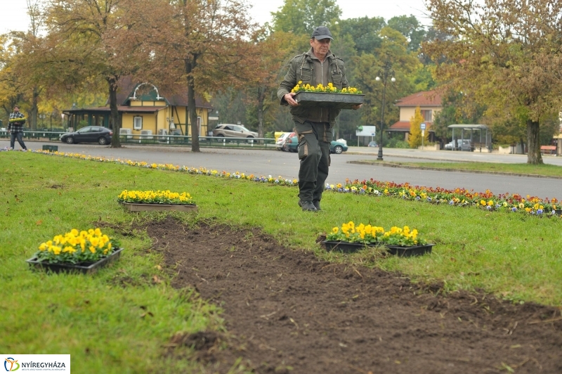 Park gondozás Sóstón - fotó Szarka Lajos
