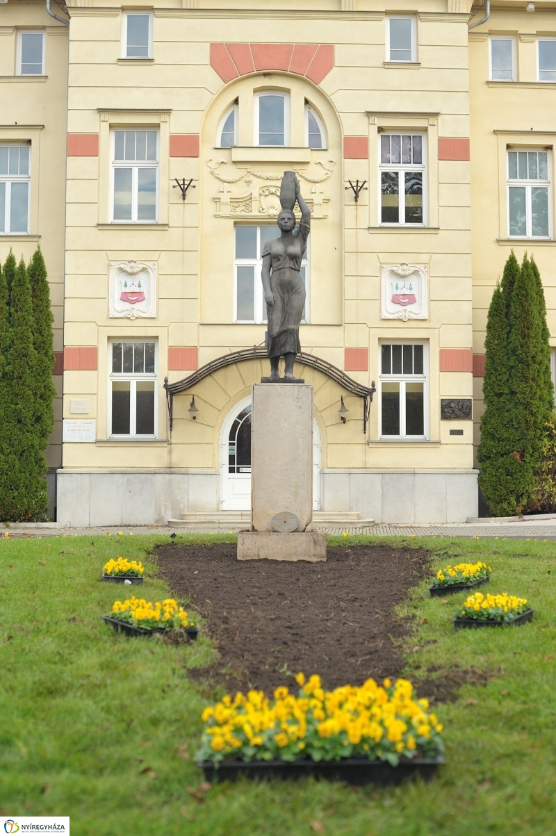 Park gondozás Sóstón - fotó Szarka Lajos