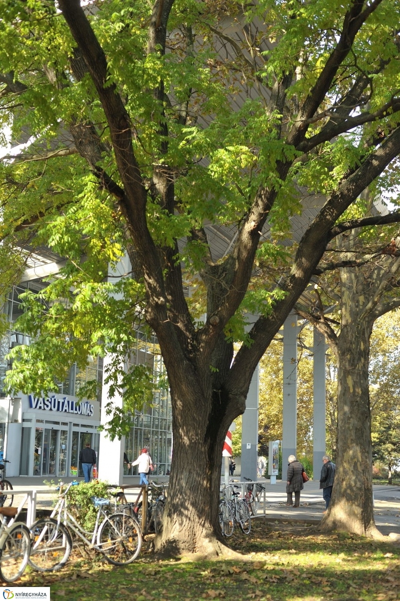 Vasútállomás ősszel - fotó Szarka Lajos