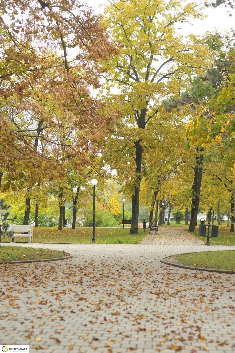 Sóstói ősz - fotó Szarka Lajos