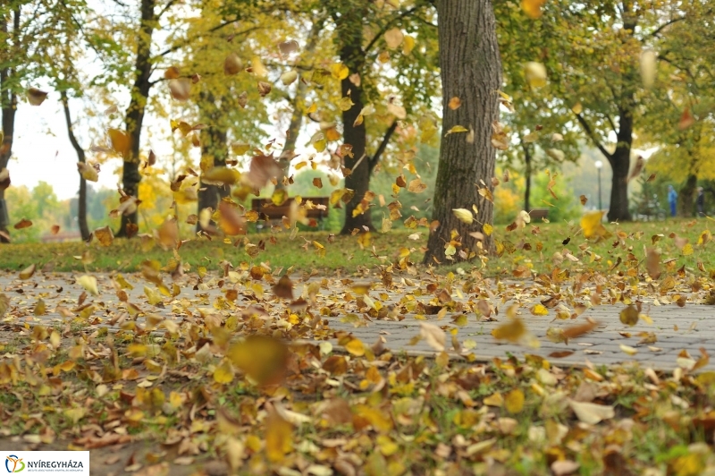 Sóstói ősz - fotó Szarka Lajos