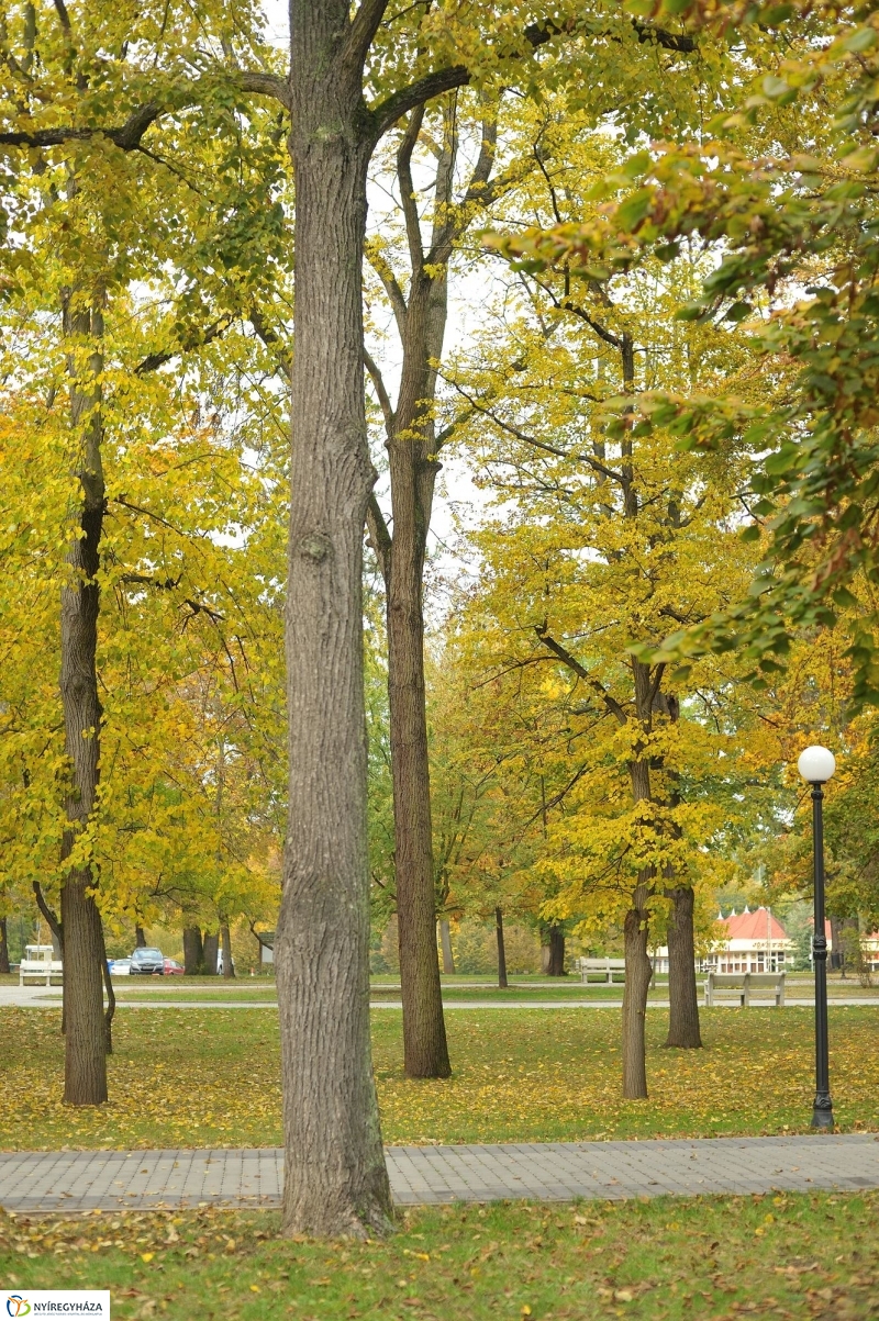 Sóstói ősz - fotó Szarka Lajos