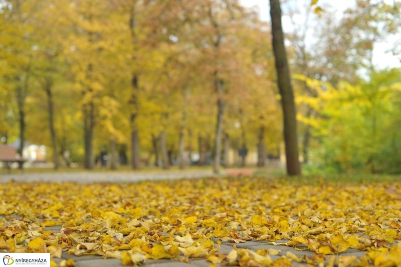 Sóstói ősz - fotó Szarka Lajos