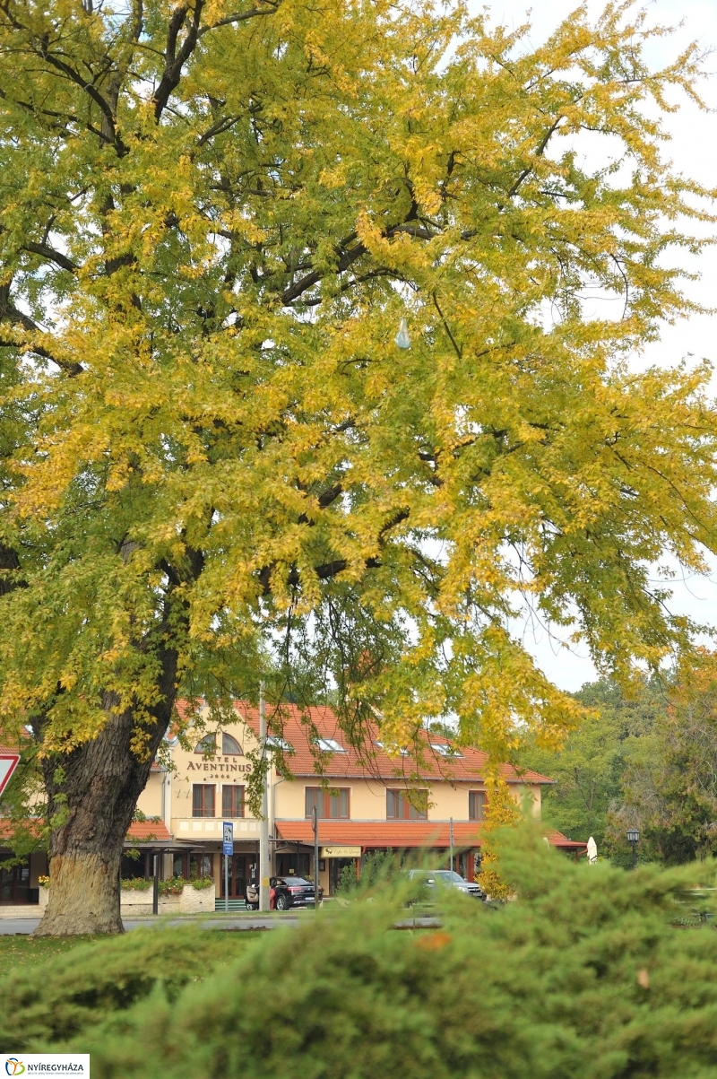 Sóstói ősz - fotó Szarka Lajos