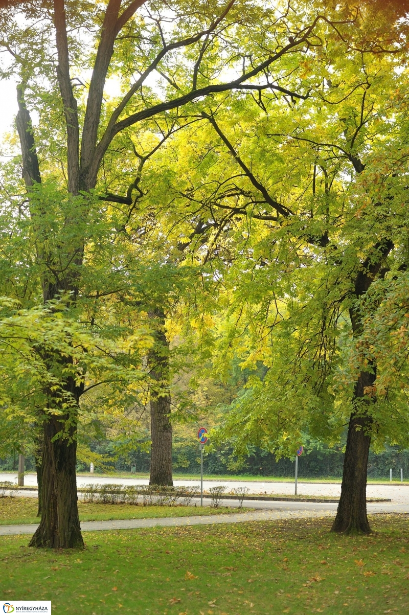 Sóstói ősz - fotó Szarka Lajos