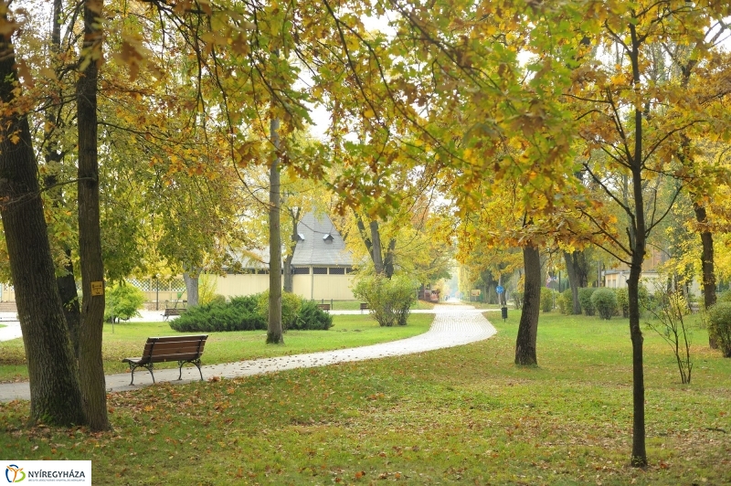 Sóstói ősz - fotó Szarka Lajos