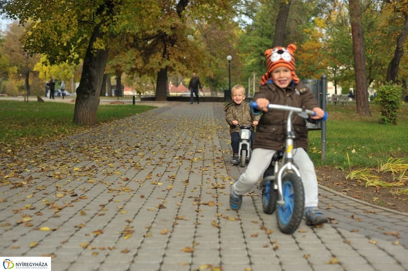 Sóstói ősz - fotó Szarka Lajos
