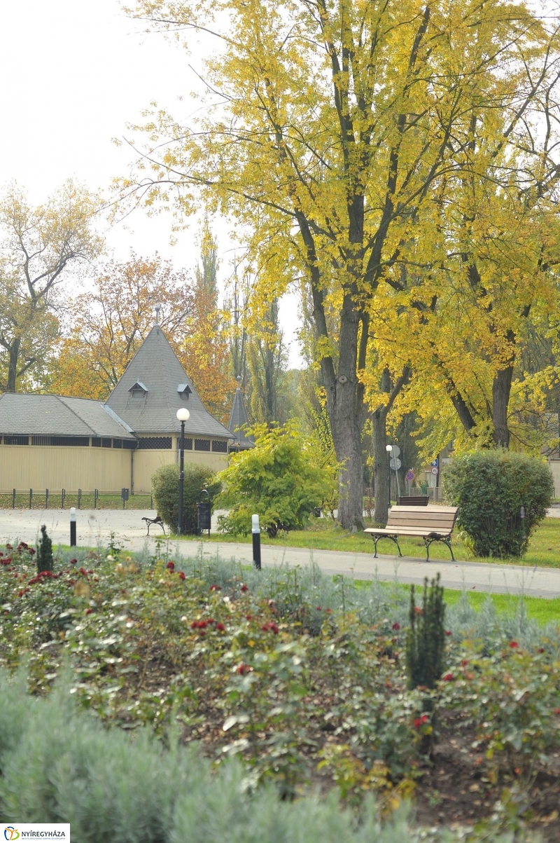 Sóstói ősz - fotó Szarka Lajos