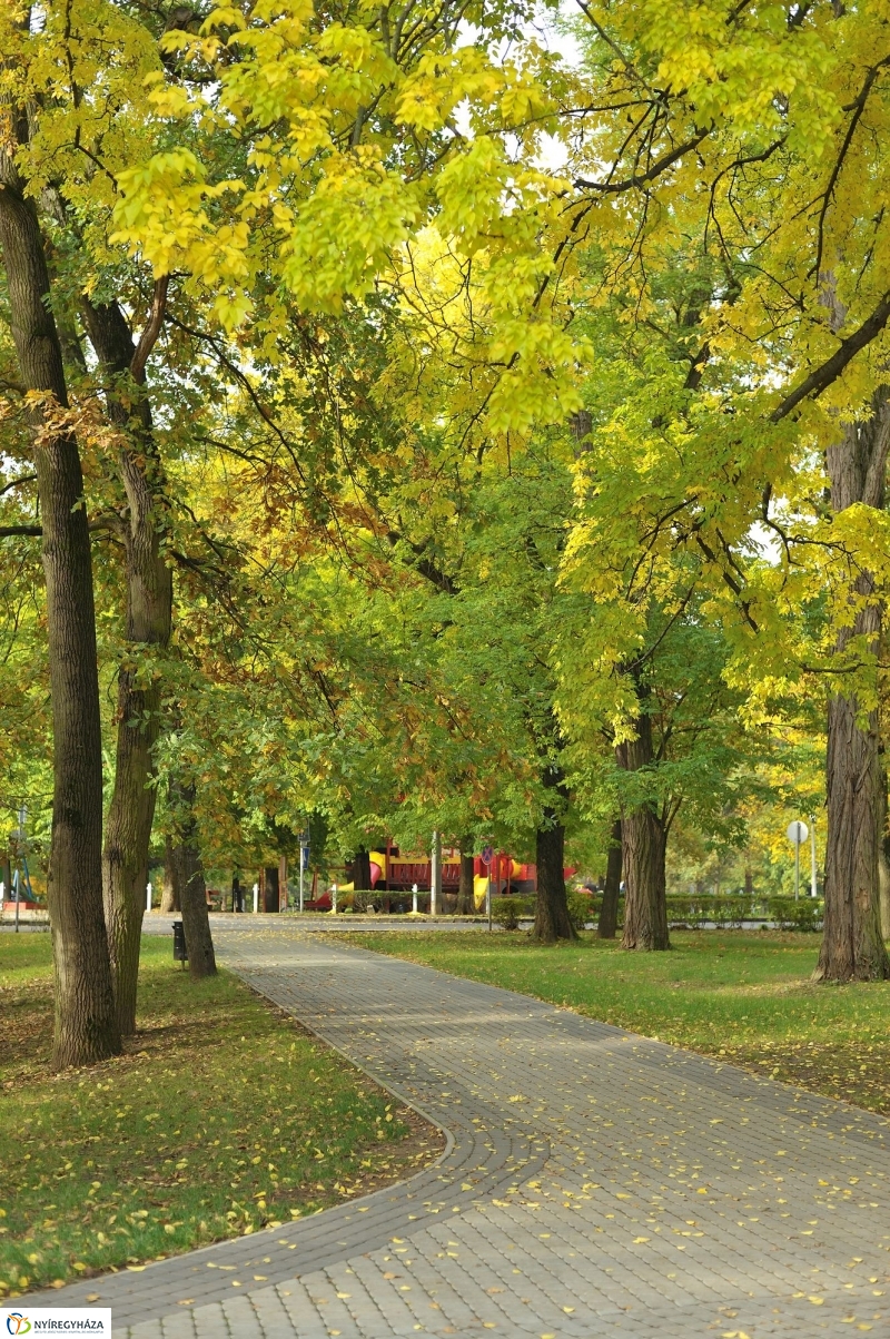 Sóstói ősz - fotó Szarka Lajos