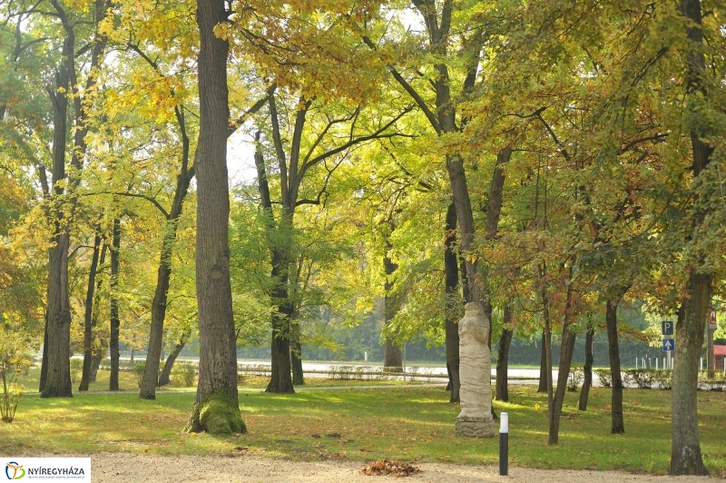 Sóstói ősz - fotó Szarka Lajos