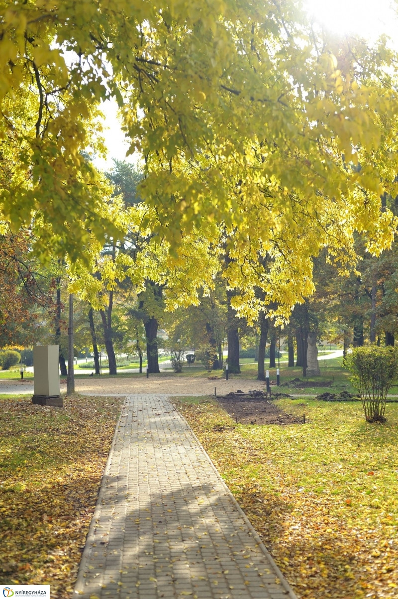 Sóstói ősz - fotó Szarka Lajos