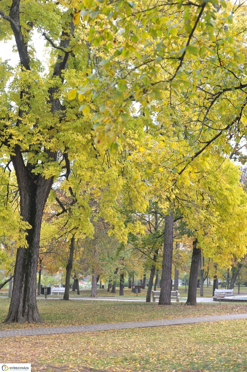 Sóstói ősz - fotó Szarka Lajos
