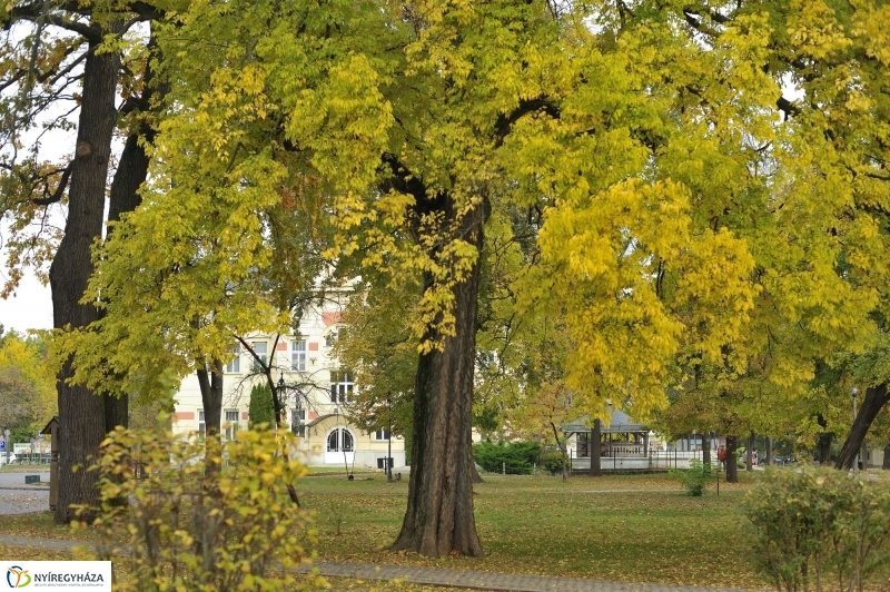 Sóstói ősz - fotó Szarka Lajos