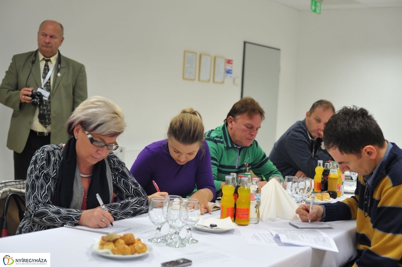 50 éves a Nyírtávhő - fotó Szarka Lajos