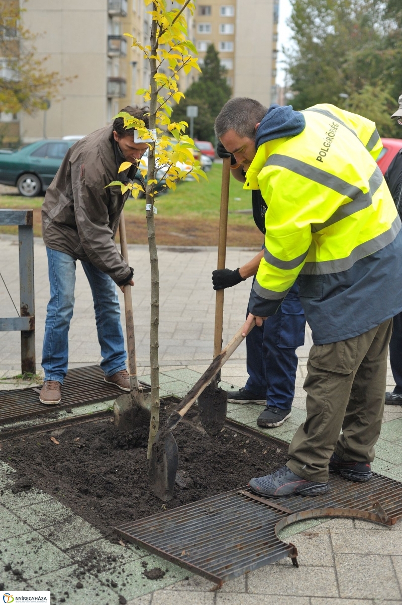 Faültetés Örökösföldön - fotó Szarka Lajos