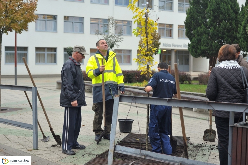 Faültetés Örökösföldön - fotó Szarka Lajos