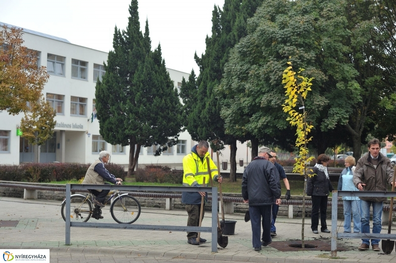 Faültetés Örökösföldön - fotó Szarka Lajos