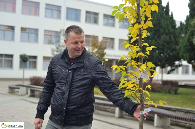 Faültetés Örökösföldön - fotó Szarka Lajos