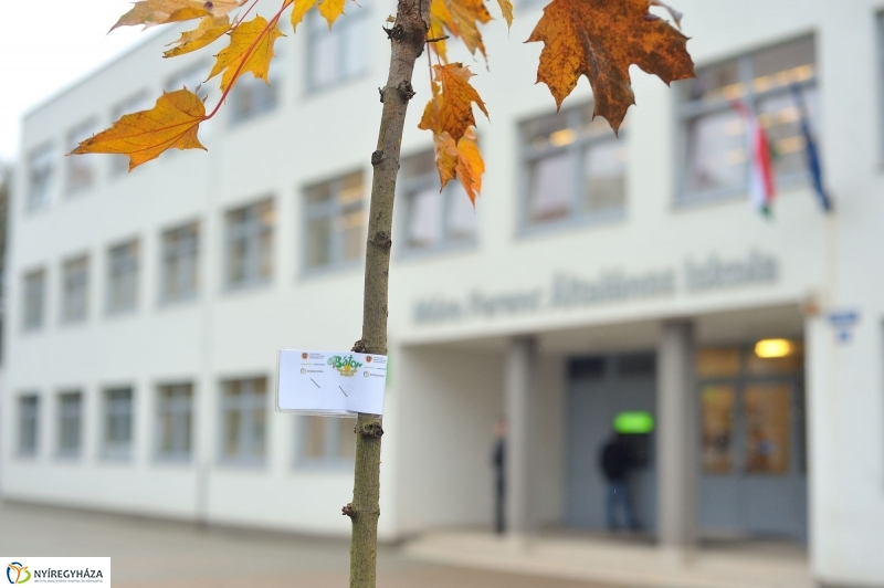 Faültetés Örökösföldön - fotó Szarka Lajos