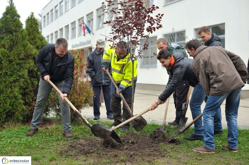 Faültetés Örökösföldön - fotó Szarka Lajos