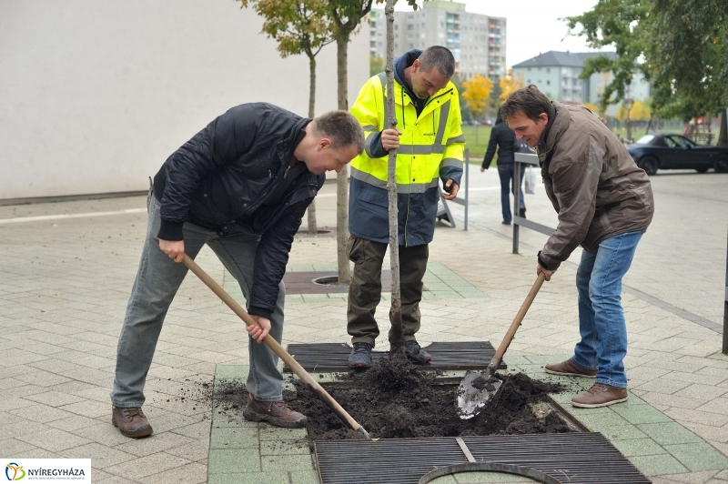 Faültetés Örökösföldön - fotó Szarka Lajos