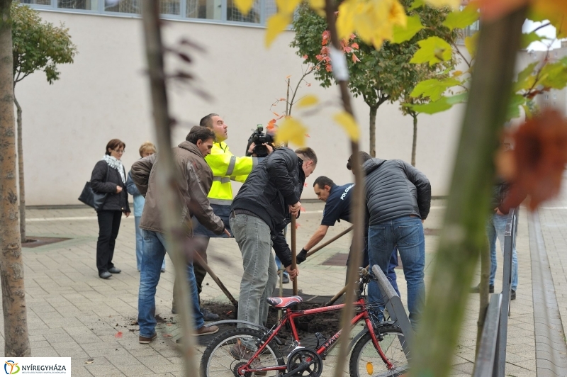 Faültetés Örökösföldön - fotó Szarka Lajos