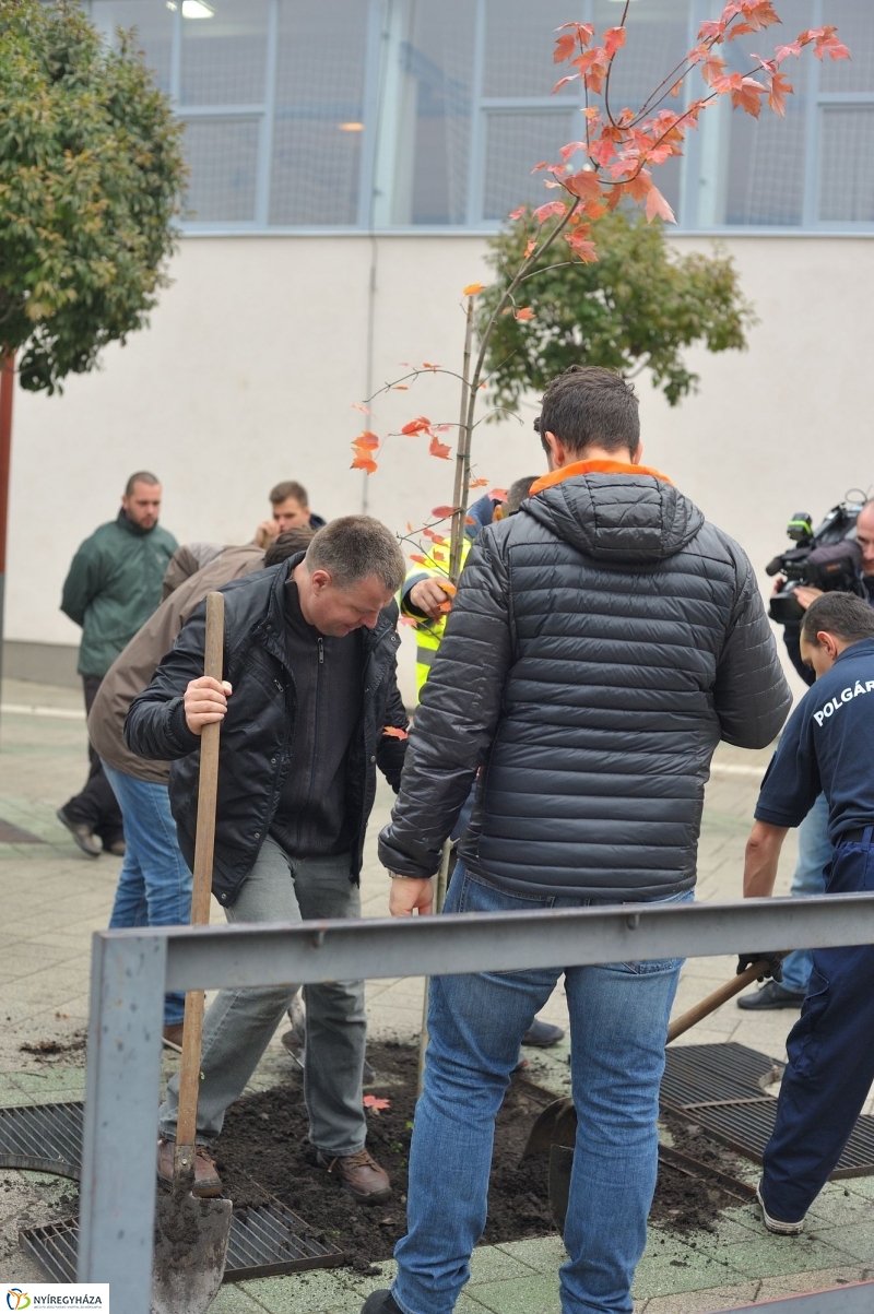 Faültetés Örökösföldön - fotó Szarka Lajos