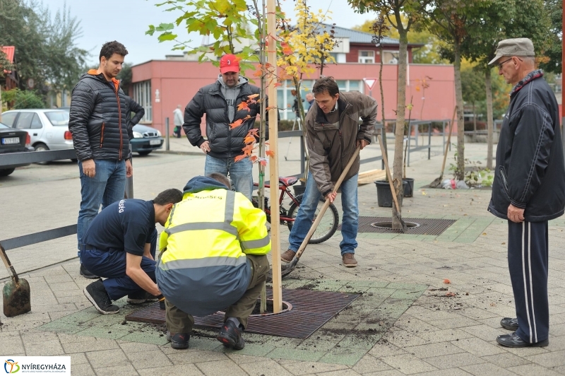 Faültetés Örökösföldön - fotó Szarka Lajos
