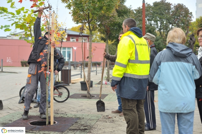 Faültetés Örökösföldön - fotó Szarka Lajos