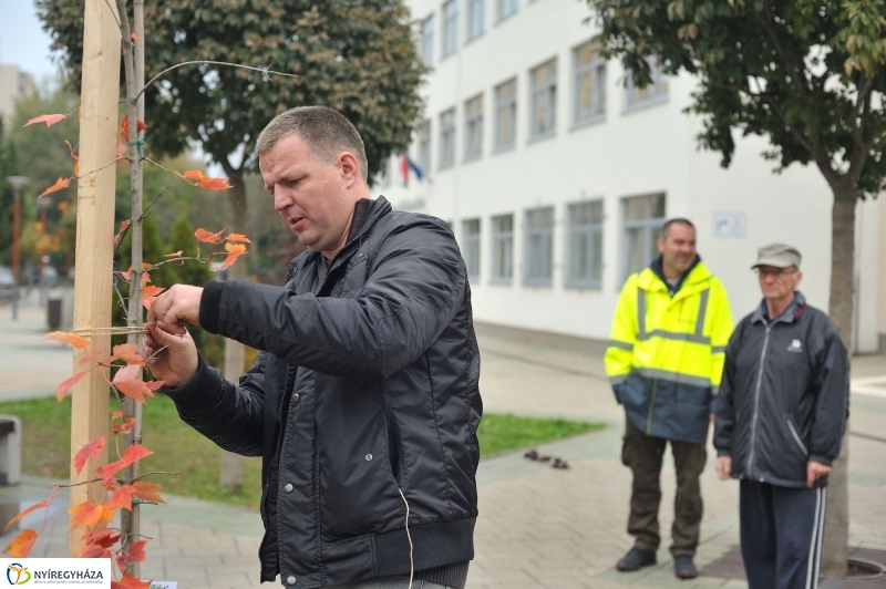 Faültetés Örökösföldön - fotó Szarka Lajos