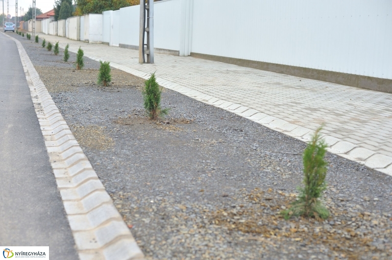 Útszakasz átadás a Lombkorona utcán - fotó Szarka Lajos