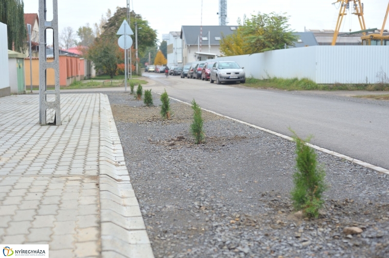 Útszakasz átadás a Lombkorona utcán - fotó Szarka Lajos