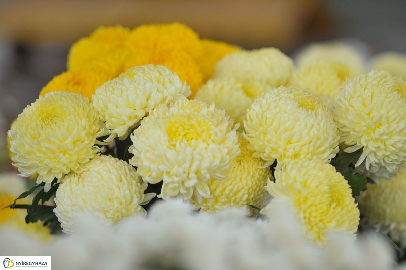 Búza téri piac ősszel - fotó Szarka Lajos