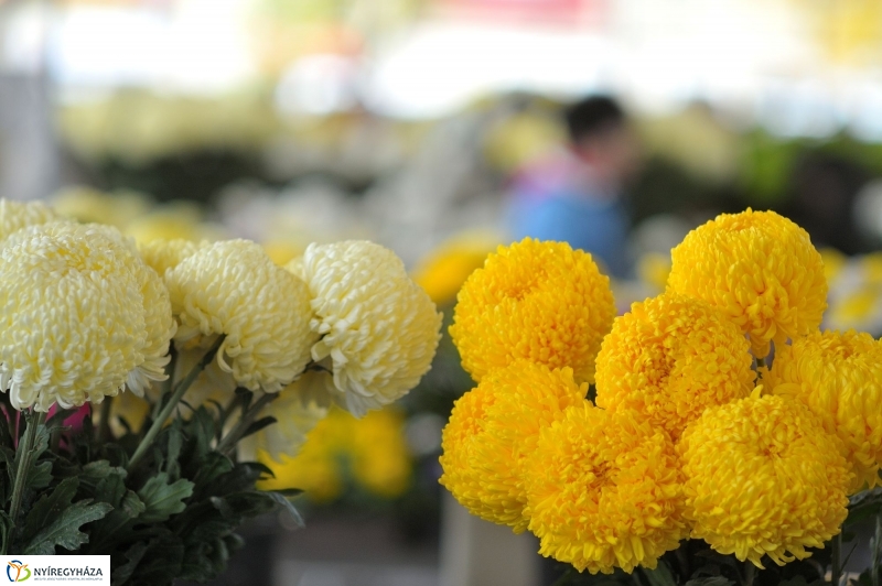 Búza téri piac ősszel - fotó Szarka Lajos