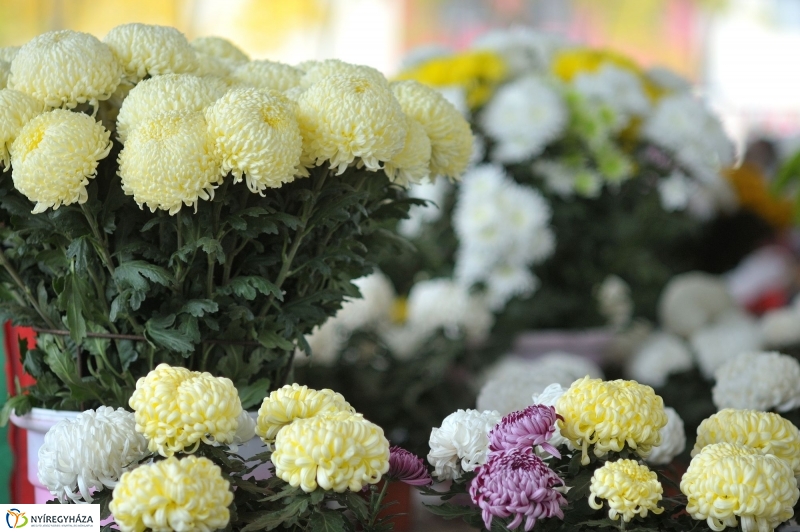 Búza téri piac ősszel - fotó Szarka Lajos